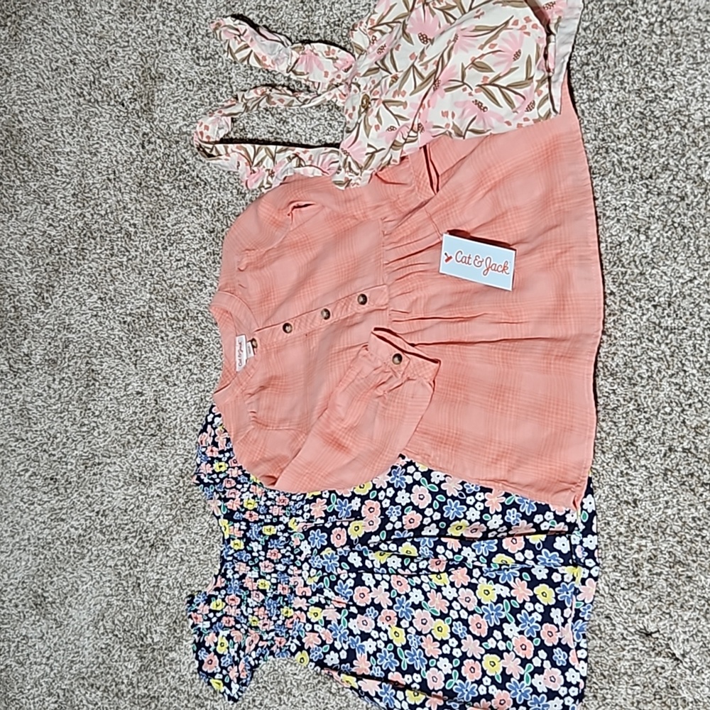 Cat & Jack & Carters, Wonder Nation 2T Dresses Bundle